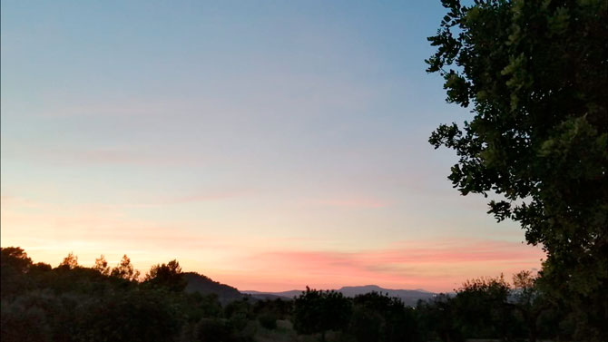 [Img #30028]