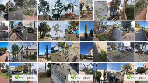 Milloram l’entorn turístic de Felanitx