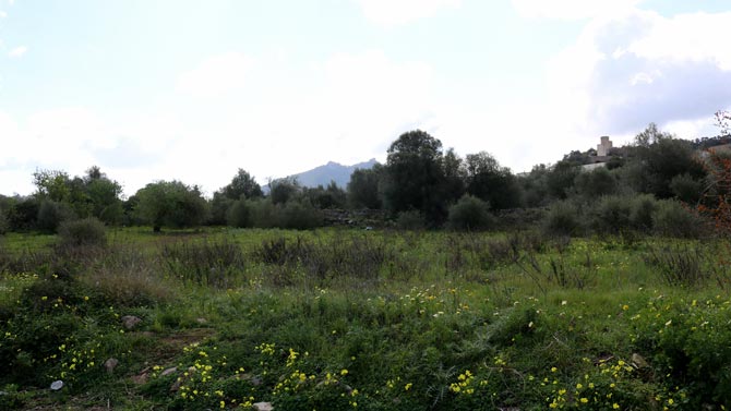 [Img #33215]